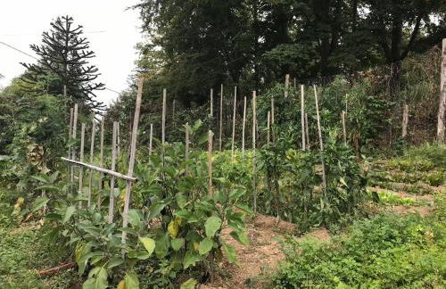 Casa Bicocchi - Foto 4