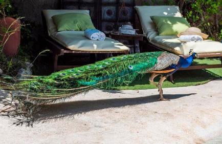 Casa Marrojo Loja by Ruralidays - Foto 35