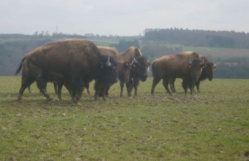 Apartment LES BRIMBELLES by Interhome - Foto 26