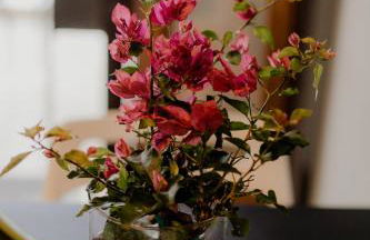 AIORA yard - Foto 28