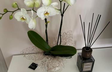 Sweet Home - Foto 14