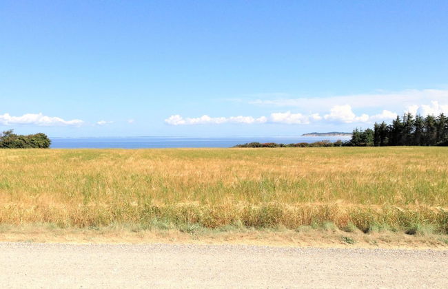 "Ewy" - 150m to the fjord - Foto 6