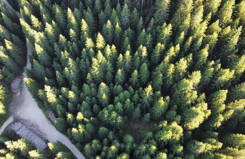 Encia's Home Dolomiti - Foto 26