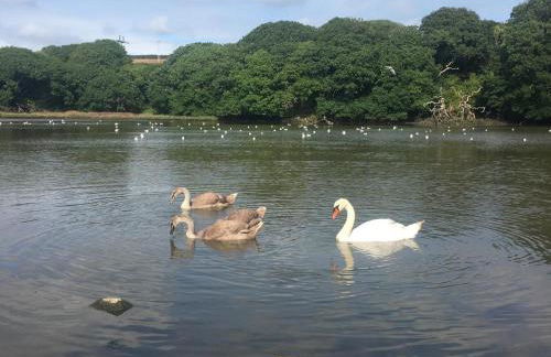 3 Bed in Burton oc-m29513 - Photo 30