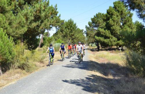 La Casona de los Cinco Caños - Foto 29