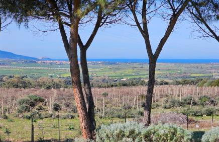 Villa Jolies - Foto 13