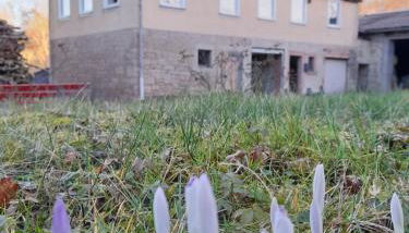 LAND-Häusle - Foto 4