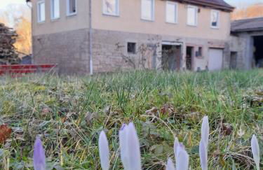 LAND-Häusle - Photo 4