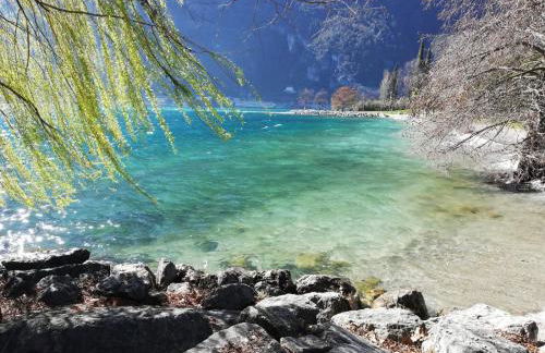 L Ora del Garda - Photo 31