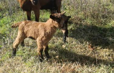 Agriturismo solare - Foto 28