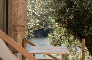Quinta da Ribeirinha - Douro River - Foto 69