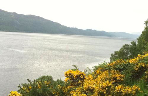 Taigh d'Luxe - Photo 52