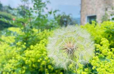 Peak District Tranquillity - Foto 23