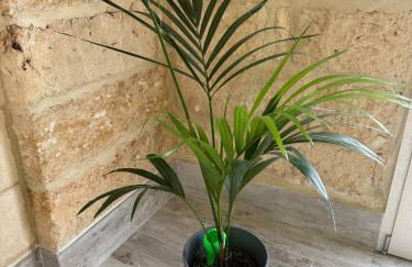 Largo Spani 15 - Foto 17