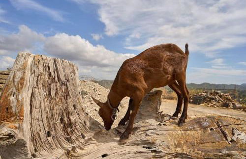 Valley View Studio Apartment Salakos - Foto 31