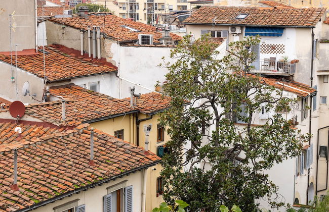 Novella House - Foto 67