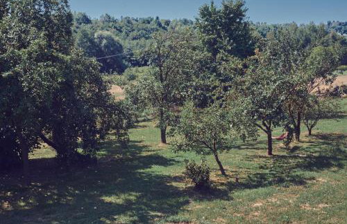 WieliczkaHome 1st floor + garden + parking - Foto 36