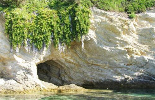 Apartments Punta Blue & Orange 5 m from the sea - Foto 57