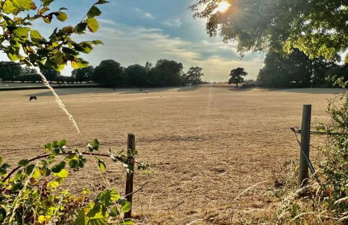 Arniss New Forest - Photo 56