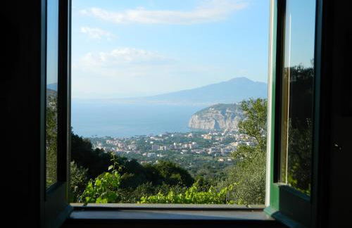 Gli Ulivi Agriturismo - Foto 160