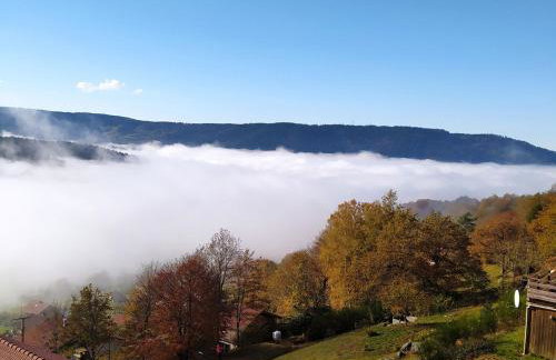 Chalet 3 étoiles avec sauna près de La Bresse - FR-1-589-18 - Foto 11