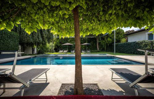 goldfinger + suites - Photo 17