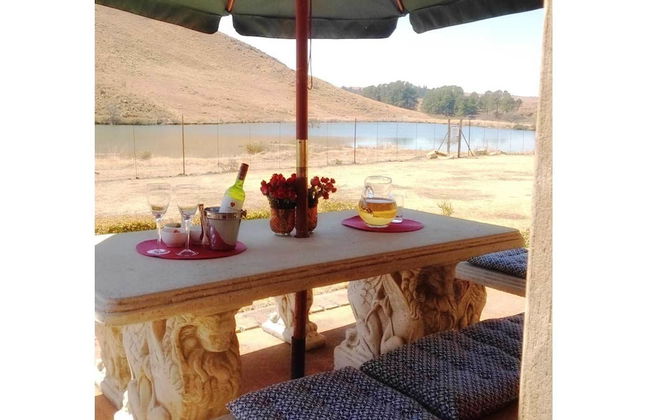 Fox and Squirrel - Foto 21