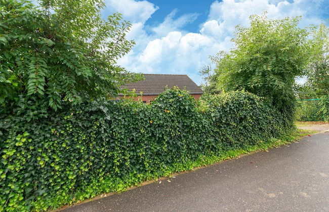 Cozy Holiday Home in Malmedy With a Beautiful View - Foto 36