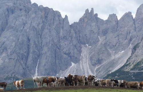 Appartamento Mariuccia - Photo 14