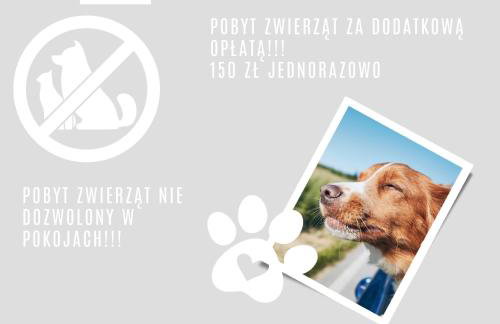 Grudza83 Bikepoint - Foto 79