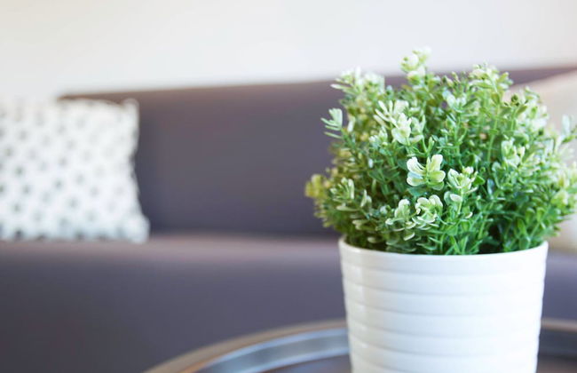 Experia Golf Loft - Italian Homing - Foto 13