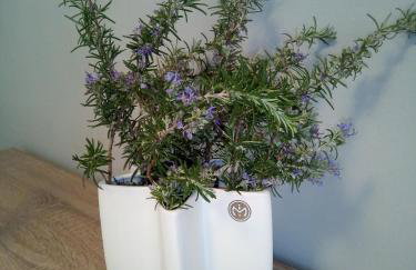 APARTMAN Viktor - Foto 13