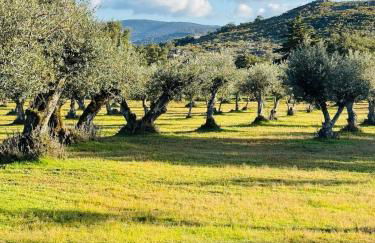 Casa Com Mãos - Foto 66