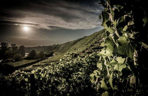 Charmantes TINY HOUSE Apartment in Besigheim mit Gartenblick und zentrale Lage - Foto 25