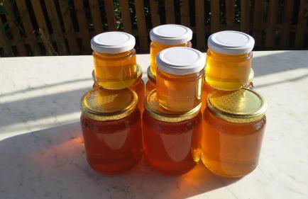 Poggio al Tesoro Crespina Pisa - Foto 13