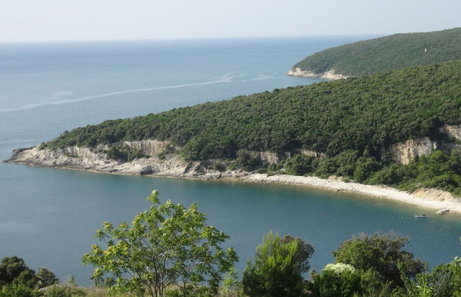 Apartment in Croatia Near the Coast - Foto 24