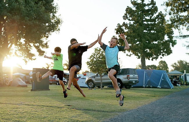 Mercury Bay Holiday Park - Foto 22