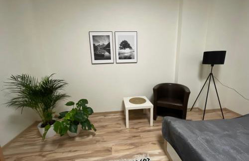 Apartamenty Trzciana - Foto 32