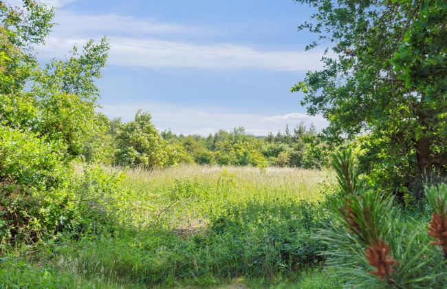 "Nadia" - 300m to the fjord - Photo 6