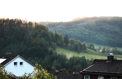 Birkenstübchen - Foto 15
