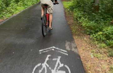 Morski Las - Foto 59