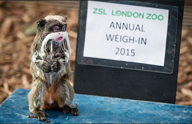 The Waterloo Residence - Foto 55