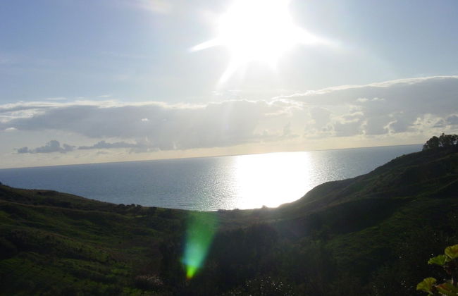 L Agave e la Palma Nana - Foto 16