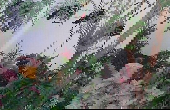 lilis Apartments - Foto 12