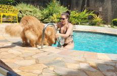 Estação Brotense - Casa com piscina e fogueira exclusiva - Foto 41