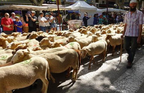 Gîte le deffend - Foto 6