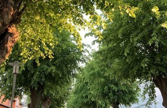 Am Stadtwald Apartment 3 - Foto 15