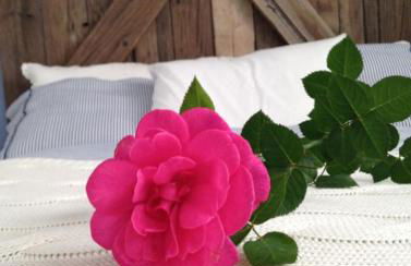 Beach House - Photo 21