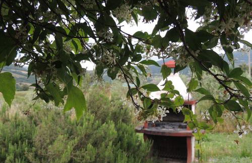 Agriturismo Il Cavallino Saturnia - Foto 71