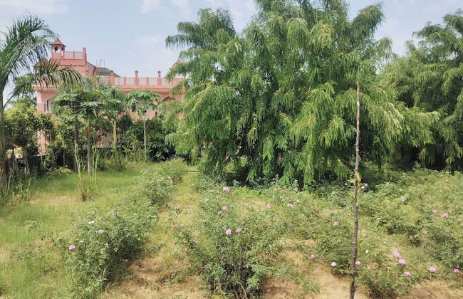 Janardan Resort Pushkar - Foto 11